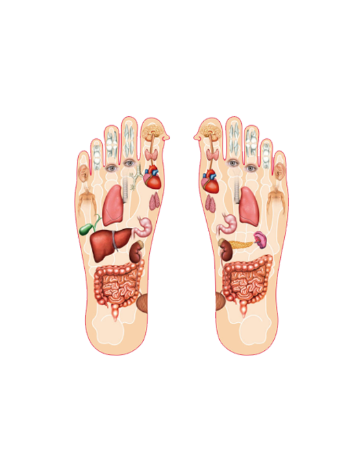 Bấm huyệt bàn chân